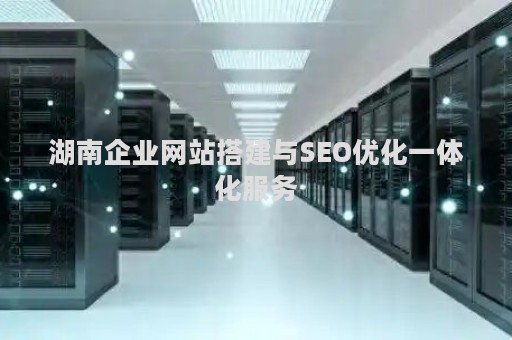 湖南企业网站搭建与SEO优化一体化服务 湖南企业网站搭建与SEO优化一体化服务