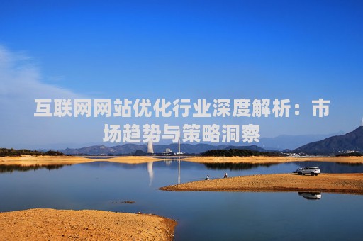 互联网网站优化行业深度解析：市场趋势与策略洞察