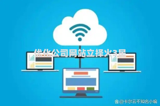 优化公司网站立择火3星