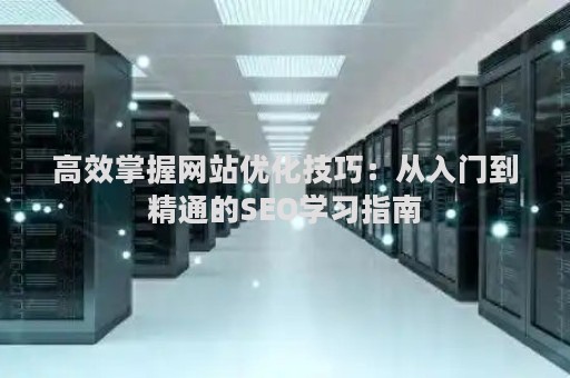 高效掌握网站优化技巧：从入门到精通的SEO学习指南