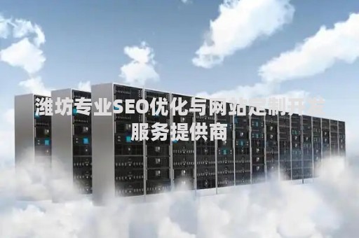 潍坊专业SEO优化与网站定制开发服务提供商