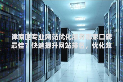 津南区专业网站优化服务哪家口碑最佳？快速提升网站排名，优化效果显著！