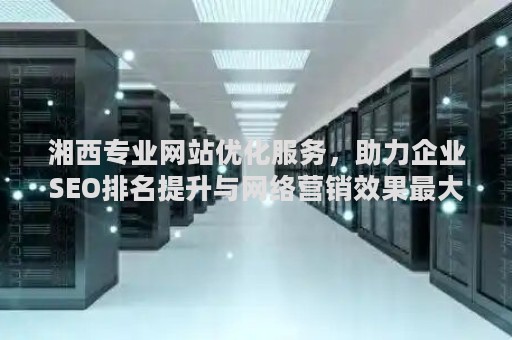 湘西专业网站优化服务，助力企业SEO排名提升与网络营销效果最大化
