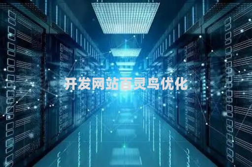 开发网站百灵鸟优化（开发网站百灵鸟优化方案）