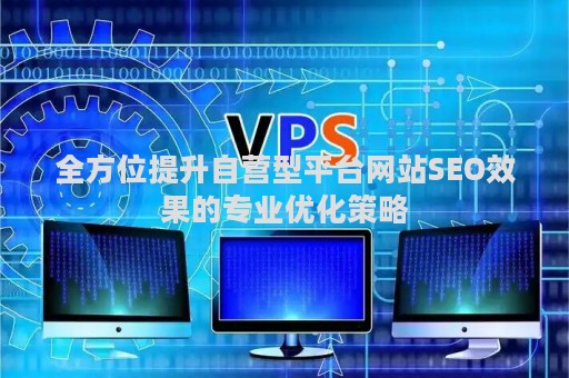 全方位提升自营型平台网站SEO效果的专业优化策略