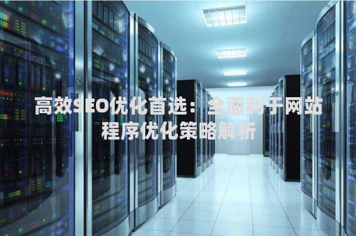 高效SEO优化首选：全面利于网站程序优化策略解析