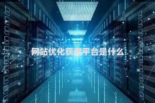 网站优化获客平台是什么（网站优化销售）
