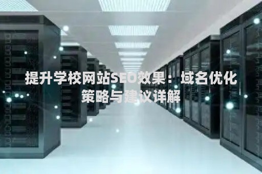 提升学校网站SEO效果：域名优化策略与建议详解