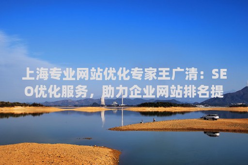 上海专业网站优化专家王广清：SEO优化服务，助力企业网站排名提升