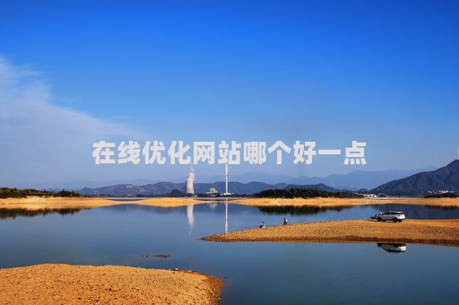 在线优化网站哪个好一点（在线优化网站哪个好一点的）