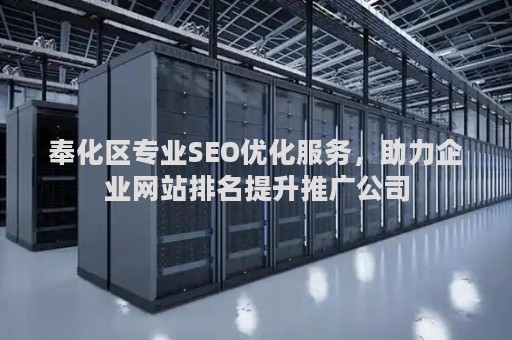 奉化区专业SEO优化服务，助力企业网站排名提升推广公司