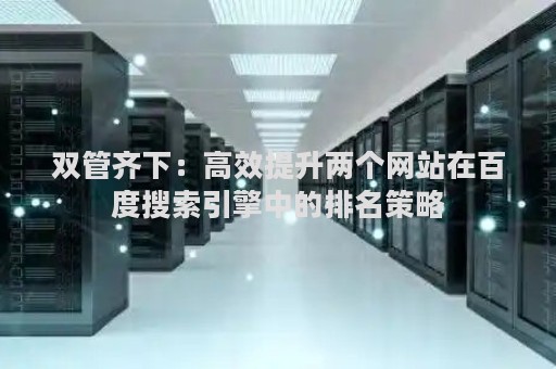 双管齐下：高效提升两个网站在百度搜索引擎中的排名策略