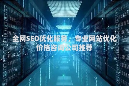 全网SEO优化服务，专业网站优化价格咨询公司推荐