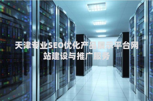 天津专业SEO优化产品展示平台网站建设与推广服务