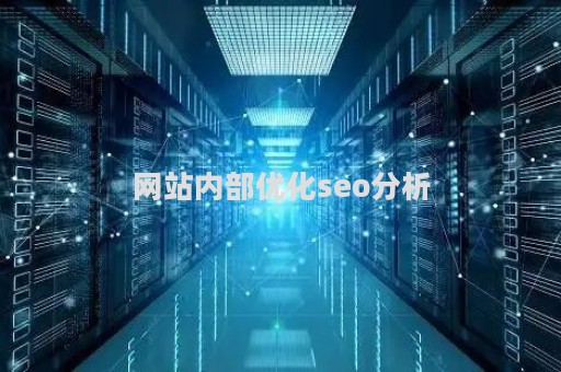 网站内部优化seo分析（网站内部优化seo分析怎么写）
