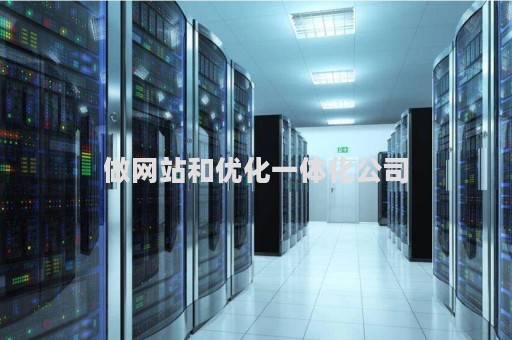 做网站和优化一体化公司（做网站优化的公司）